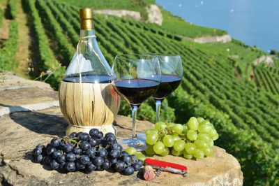 Tin Tức Rượu Vang